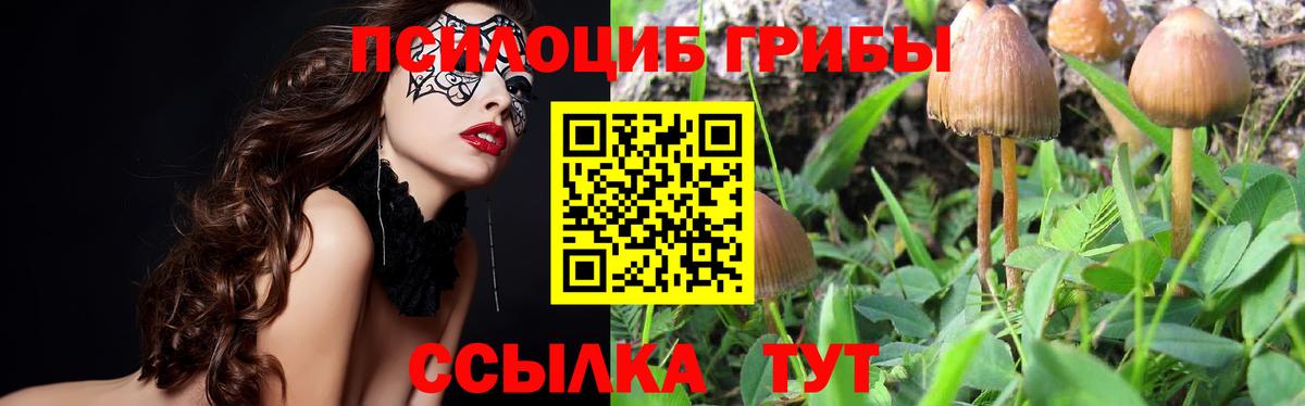 Псилоцибиновые грибы мицелий  Псилоцибиновые грибы Magic Shrooms  Вход с VPN  Кирово-Чепецк 