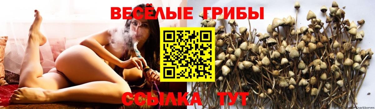 Псилоцибиновые грибы ЛСД Кирово-Чепецк